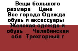 Вещи большого размера  › Цена ­ 200 - Все города Одежда, обувь и аксессуары » Женская одежда и обувь   . Челябинская обл.,Трехгорный г.